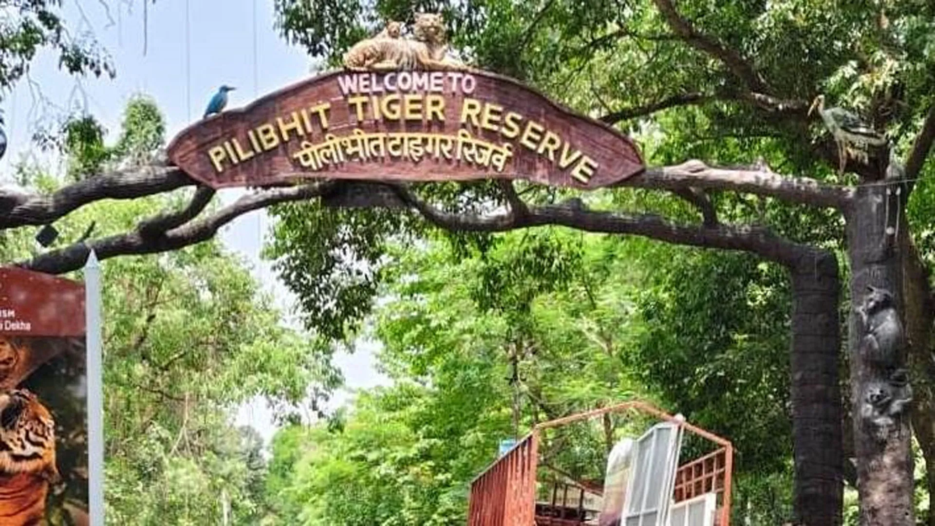 UP: पीटीआर से सटे 72 संवेदनशील गांवों के युवा बनेंगे आत्मनिर्भर 