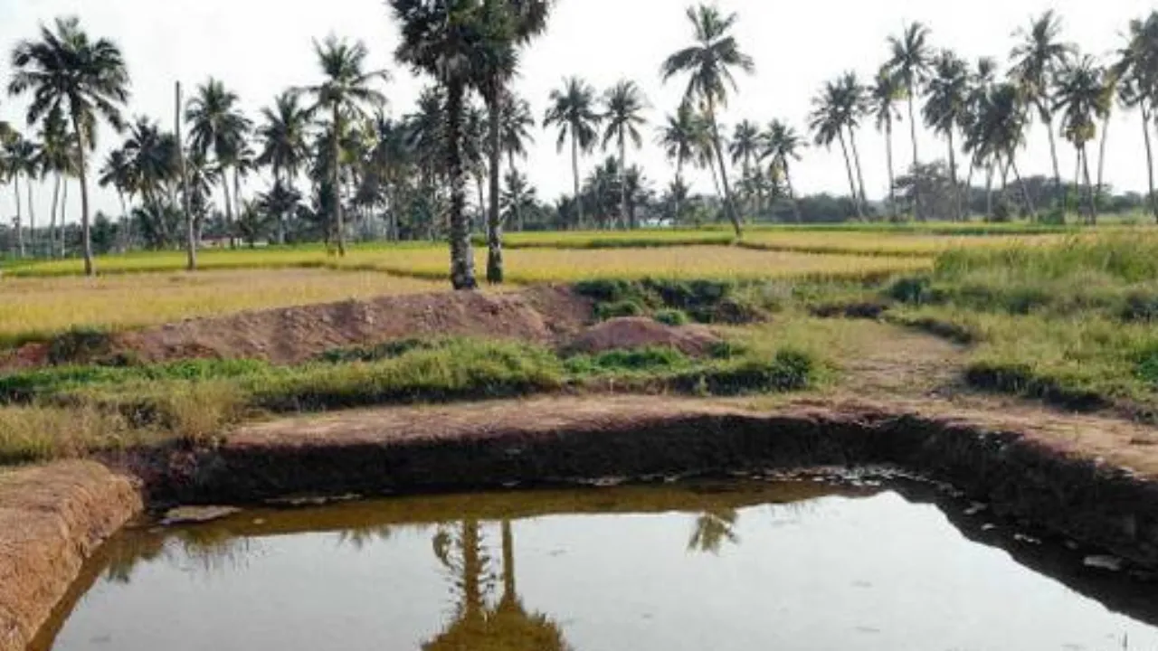 अमृत सरोवरों से पर्यावरणीय संतुलन के साथ मृदा संरक्षण,  गांवों के विकास को नई गति