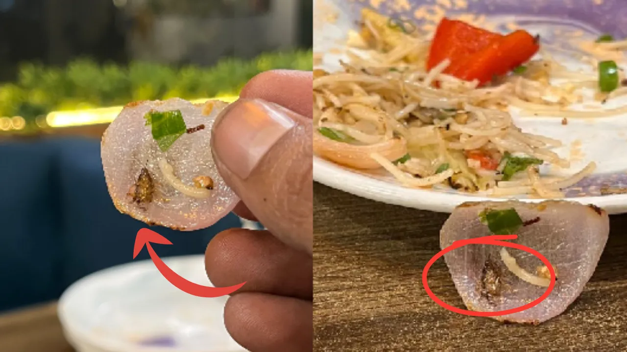 लखनऊ के रेस्टोरेंट में नूडल्स के साथ परोस दिया कॉकरोच:  मैनेजर ने मांगी माफ़ी, बच्चे का जन्मदिन मानाने आया था परिवार