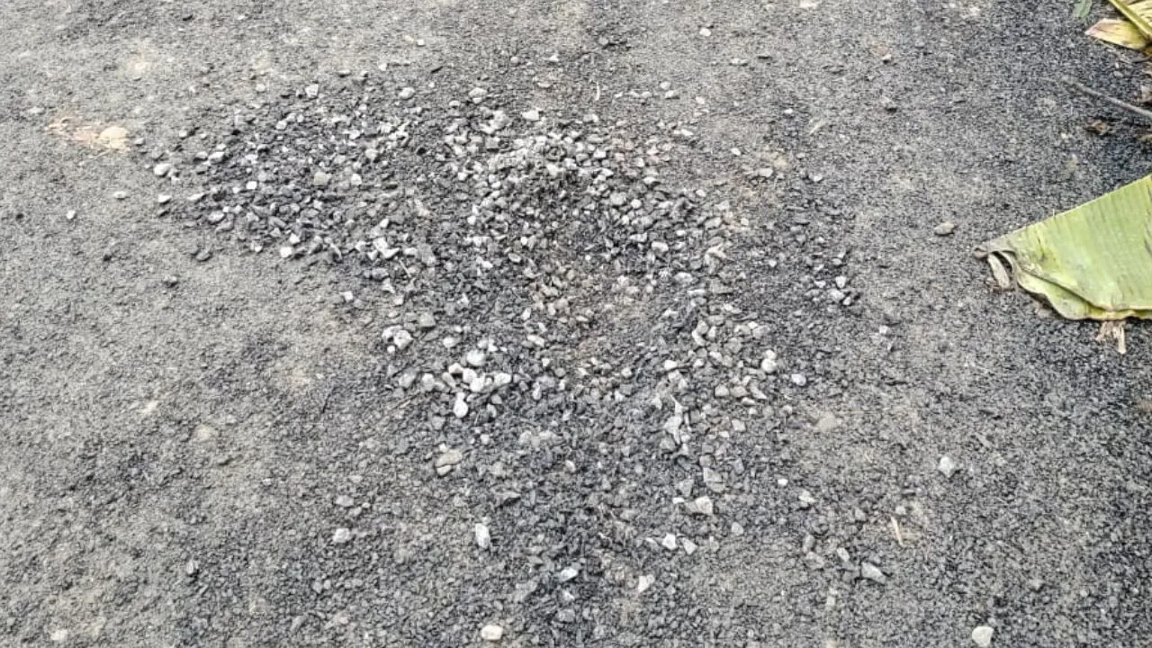  15 दिन में उखड़ गई 1 करोड़ से बनी सड़क, क्षेत्रीय निवासियों की शिकायत पर ठेकेदार ने लगाया भ्रष्टाचार पर पैचवर्क