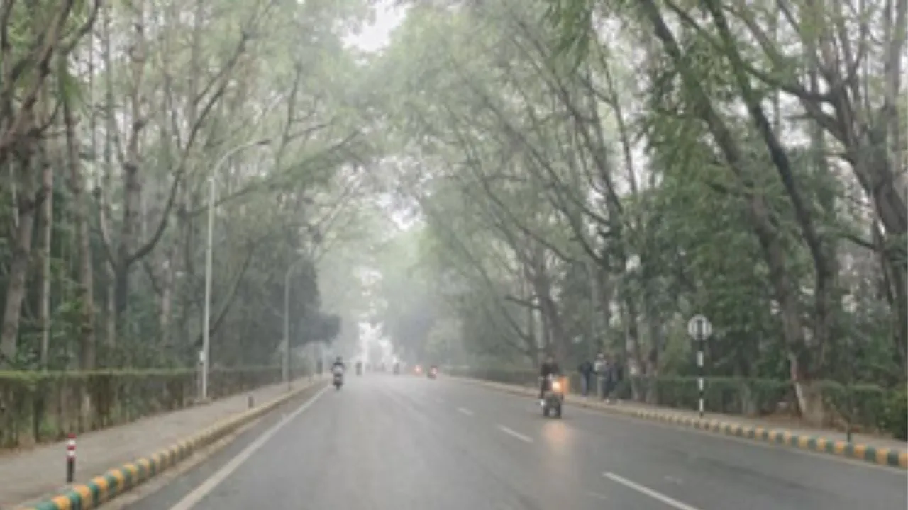  पश्चिमी विक्षोभ के असर से दिल्ली में बदला मौसम...लुढ़का पारा, यूपी के कई जिलों में बारिश   