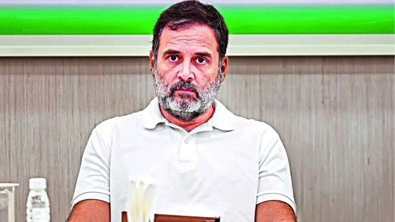 MP-MLA कोर्ट में राहुल गांधी की दोहरी नागरिकता की याचिका खारिज, रायबरेली से लखनऊ ट्रांसफर हुई थी सुनवाई  