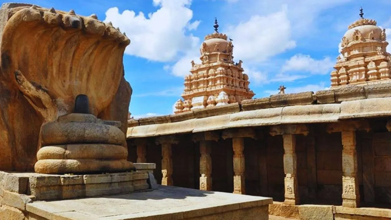 Untitled design (18)