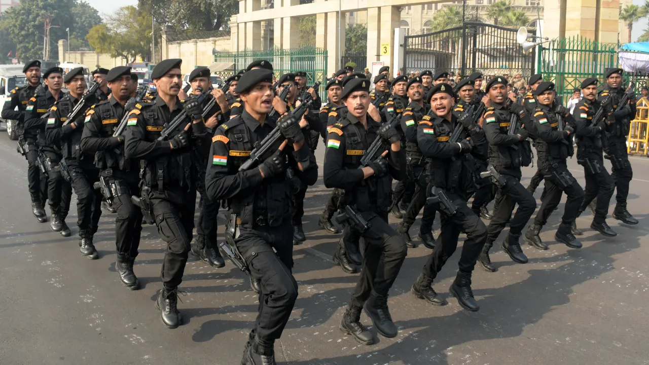 Untitled design (31)