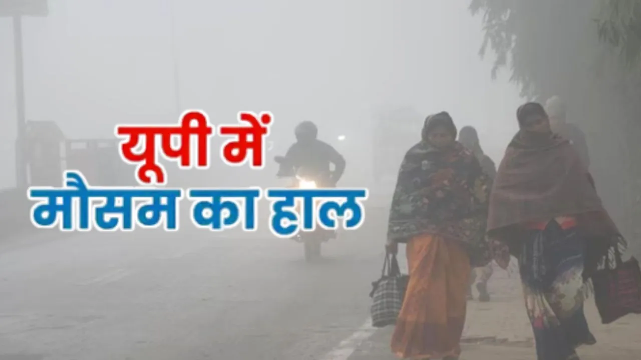  यूपी में कोल्ड डे... ठंड से राहत मिलने के आसार, इन जिलों में पड़ रही कड़ाके की ठंड, जानें आपके जिले का हाल 