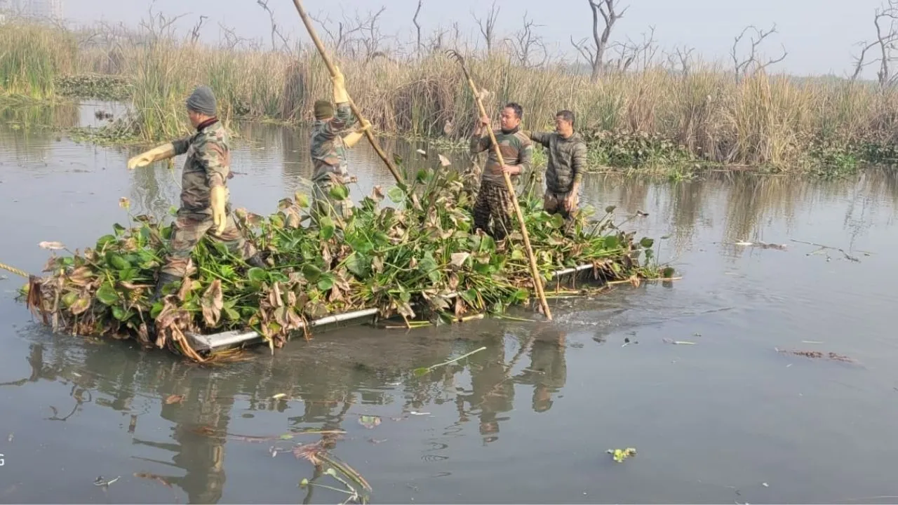 वेटलैंड की हाेगी बायो-डायवर्सिटी मैपिंग:  जीव-जंतुओं का बनेगा कैटलॉग, वन विभाग रखेगा दो विशेषज्ञ