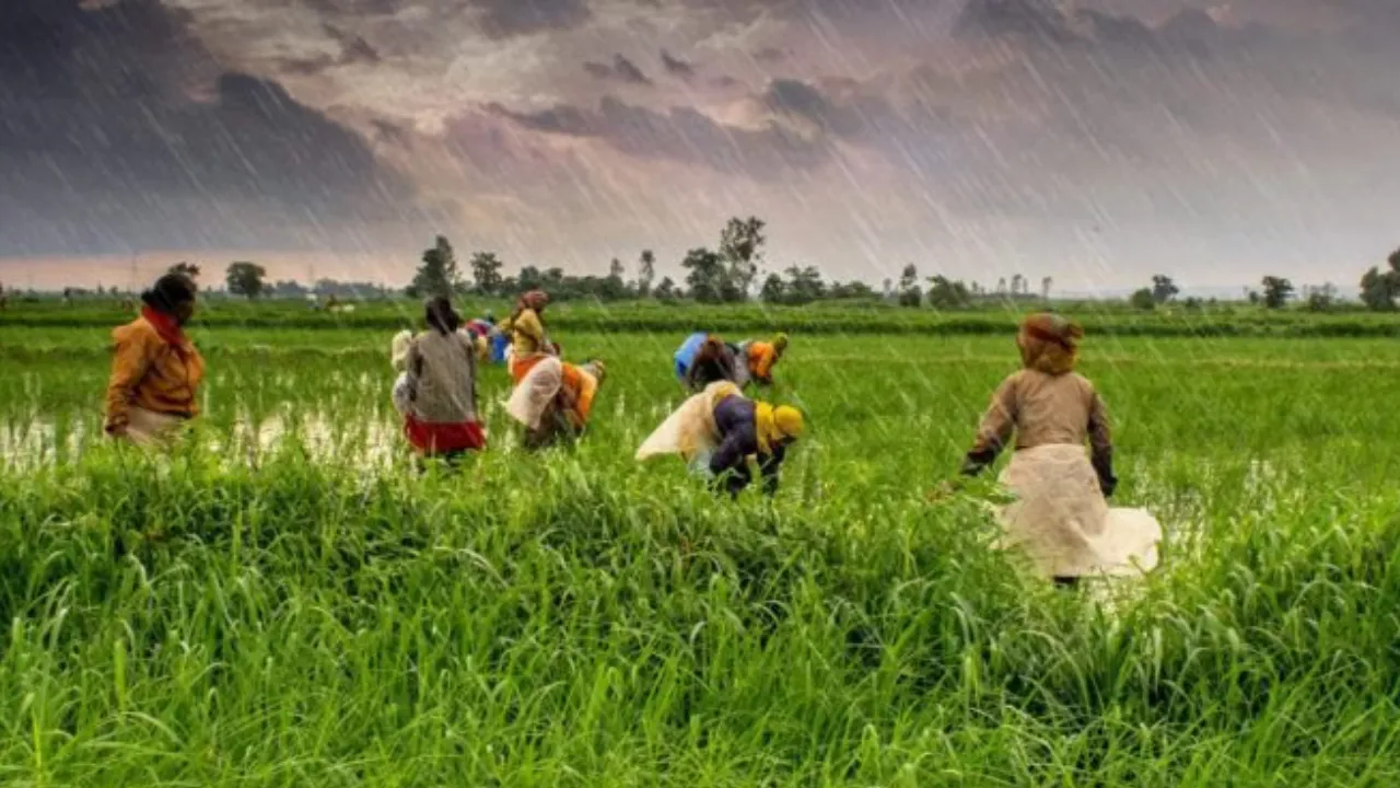  कृषि उत्पादन बढ़ाने को करोड़ों के बजट को हरी झंडी, हरदोई में बनेगा 75 कमरों का बालक छात्रावास, आजमगढ़ परिसर को भी मिला बजट