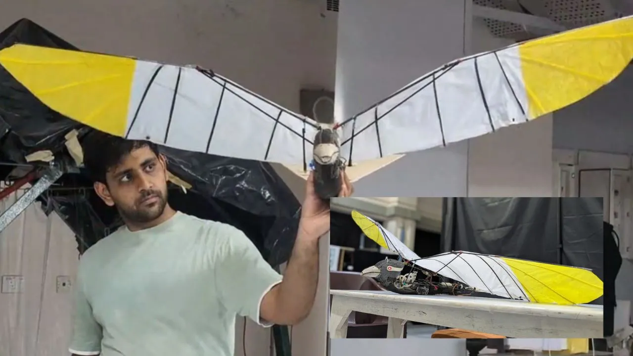 चिड़िया-चमगादड़ जैसा ड्रोन, रडार के लिए अननोन 