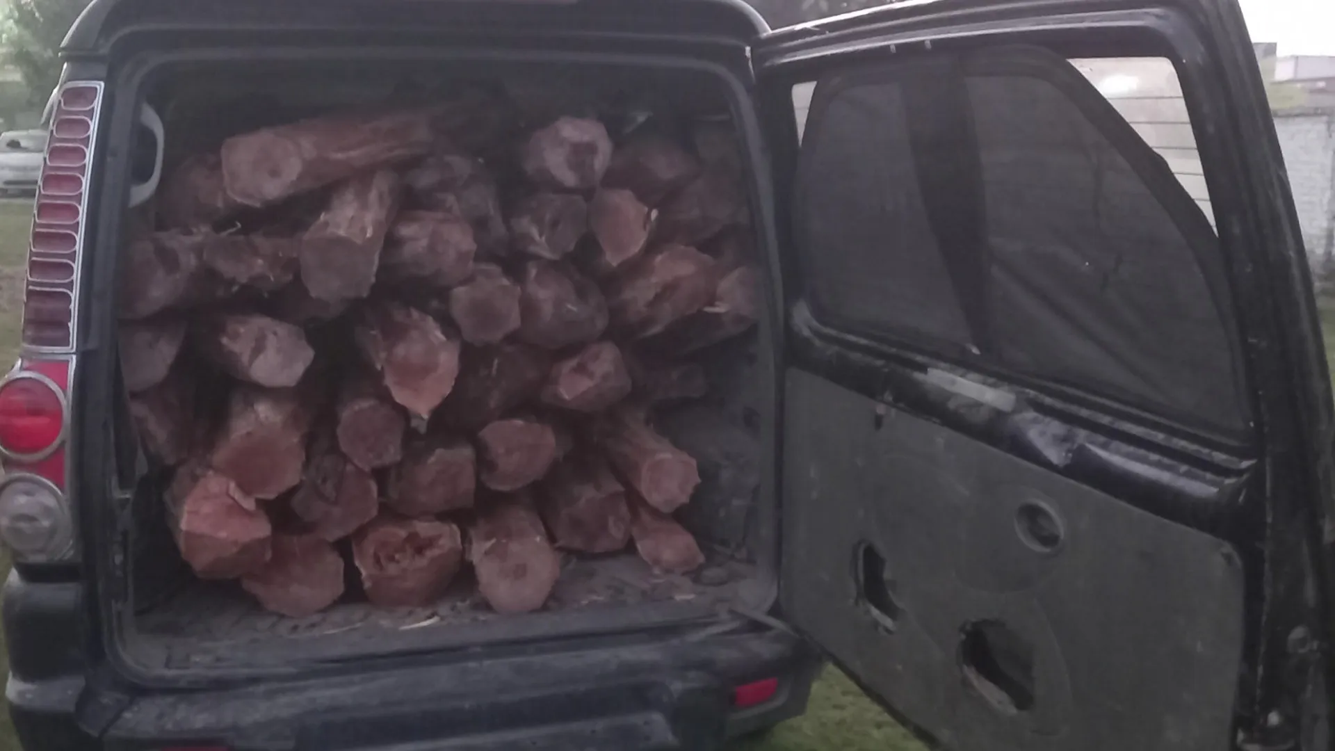 रामपुर : वन माफिया स्कॉर्पियो से ले जा रहे थे खैर की लकड़ी, दबोचे