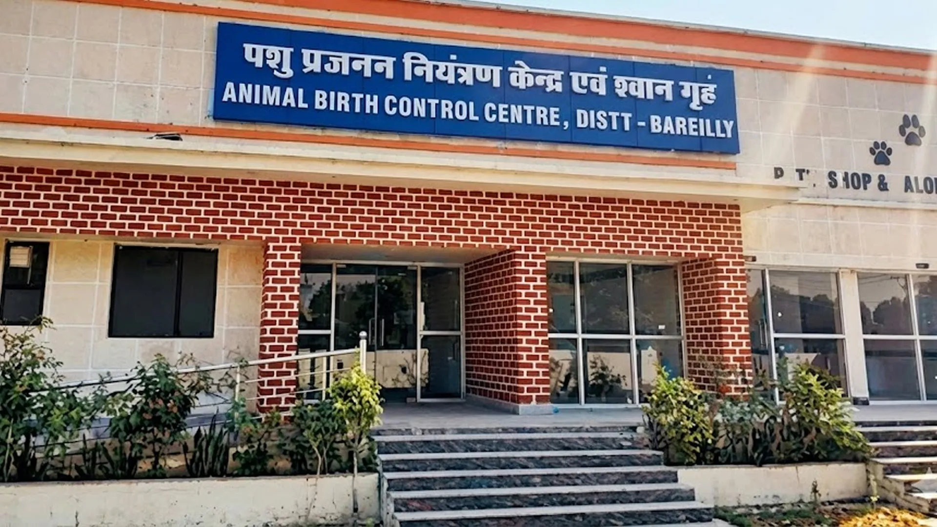 Bareilly : वर्क ऑर्डर के बाद भी नहीं पकड़े कुत्ते, एजेंसी को नोटिस