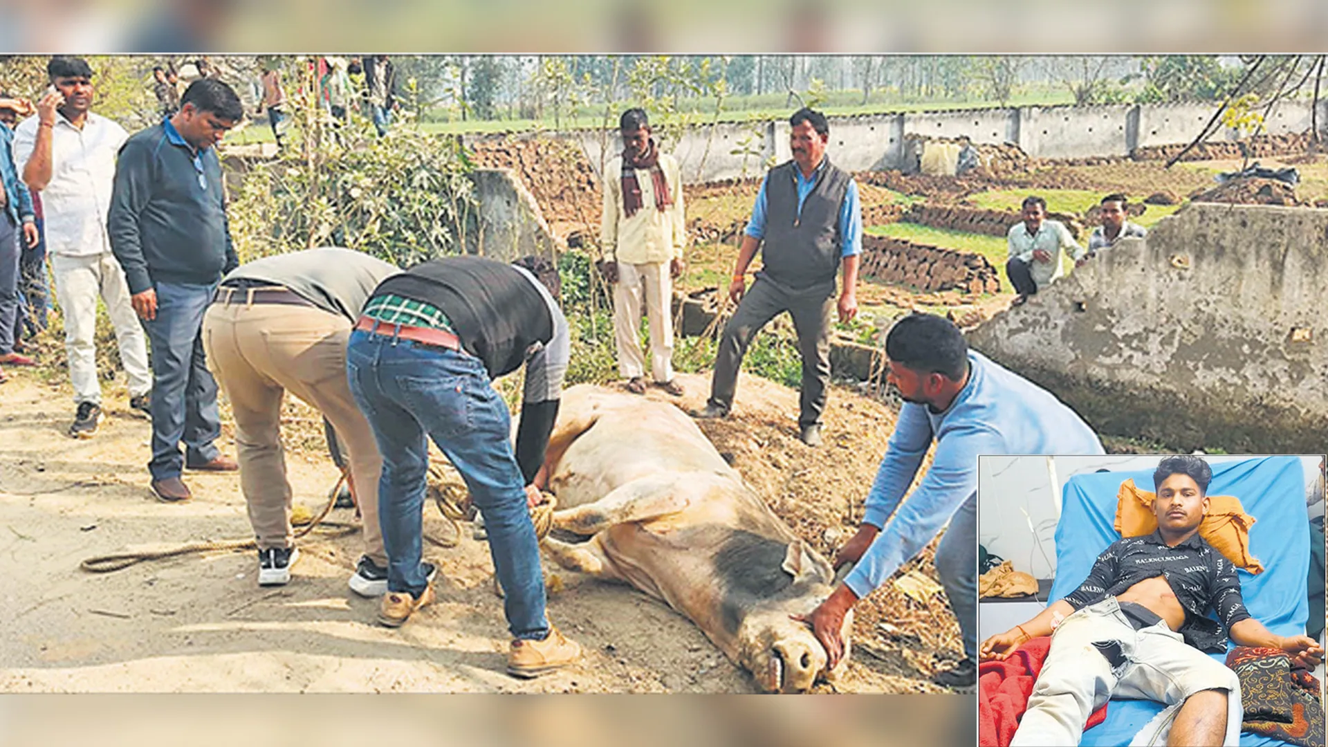 Bareilly : हमलावर सांड को पकड़ कर चौबारी गोशाला भेजा
