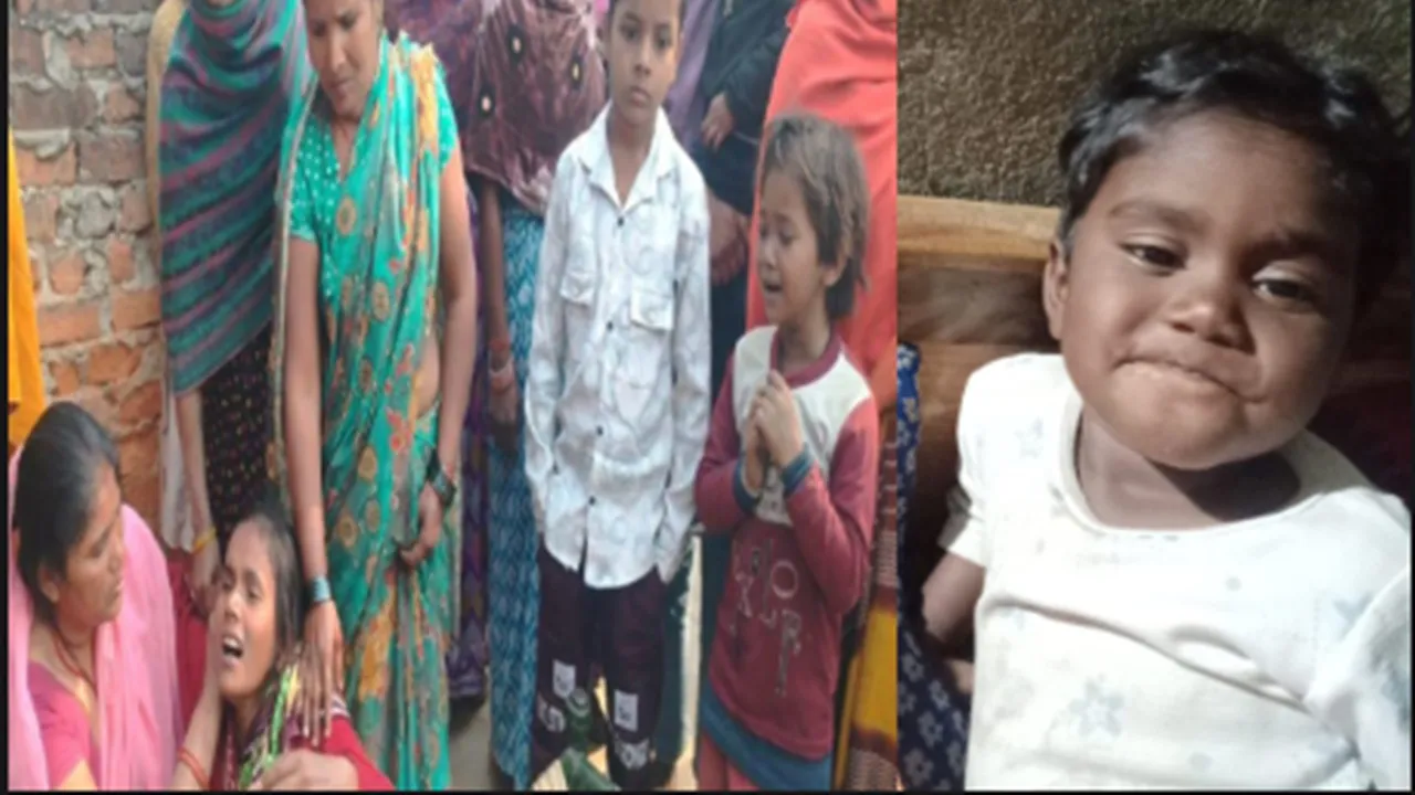 गोंडा के धानेपुर में दिल दहला देने वाली घटना, मासूम बच्ची को कुत्तों ने नोच-नोचकर मार डाला