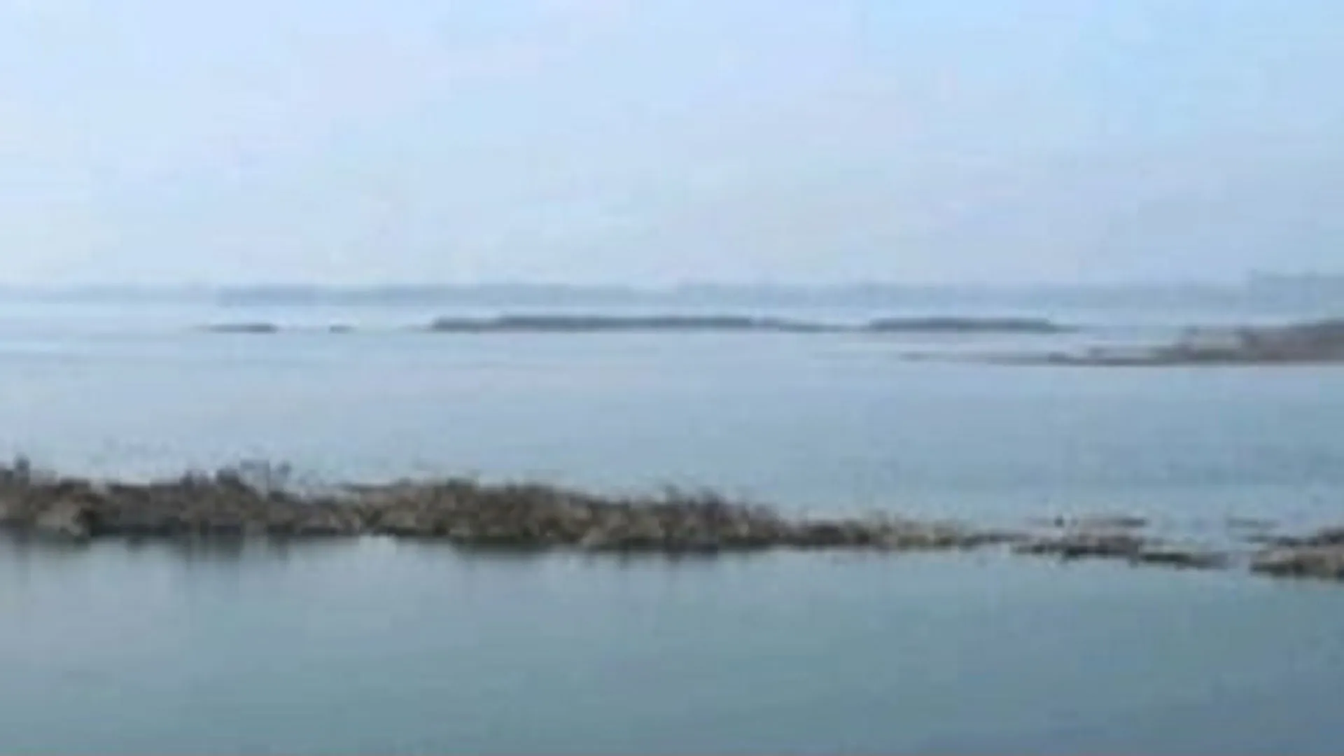 Moradabad: तुमड़िया डैम में सिल्ट व गाद जमाव से सिंचाई पर संकट