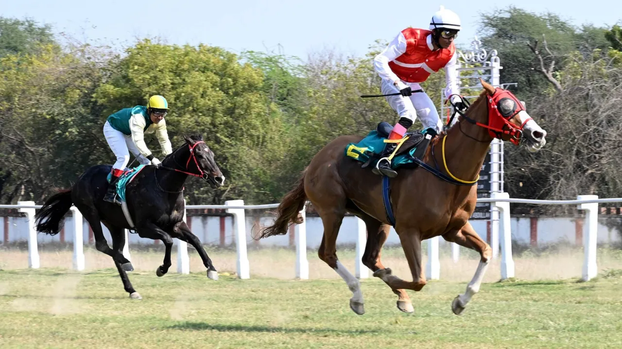 लखनऊ रेसकोर्स में धमाल: गोल्डन ओक्स ने जीता प्रतिष्ठित आर्मी कमांडर कप, शान-ए-अजीम ने इंडियन ब्रीड में मारी बाजी