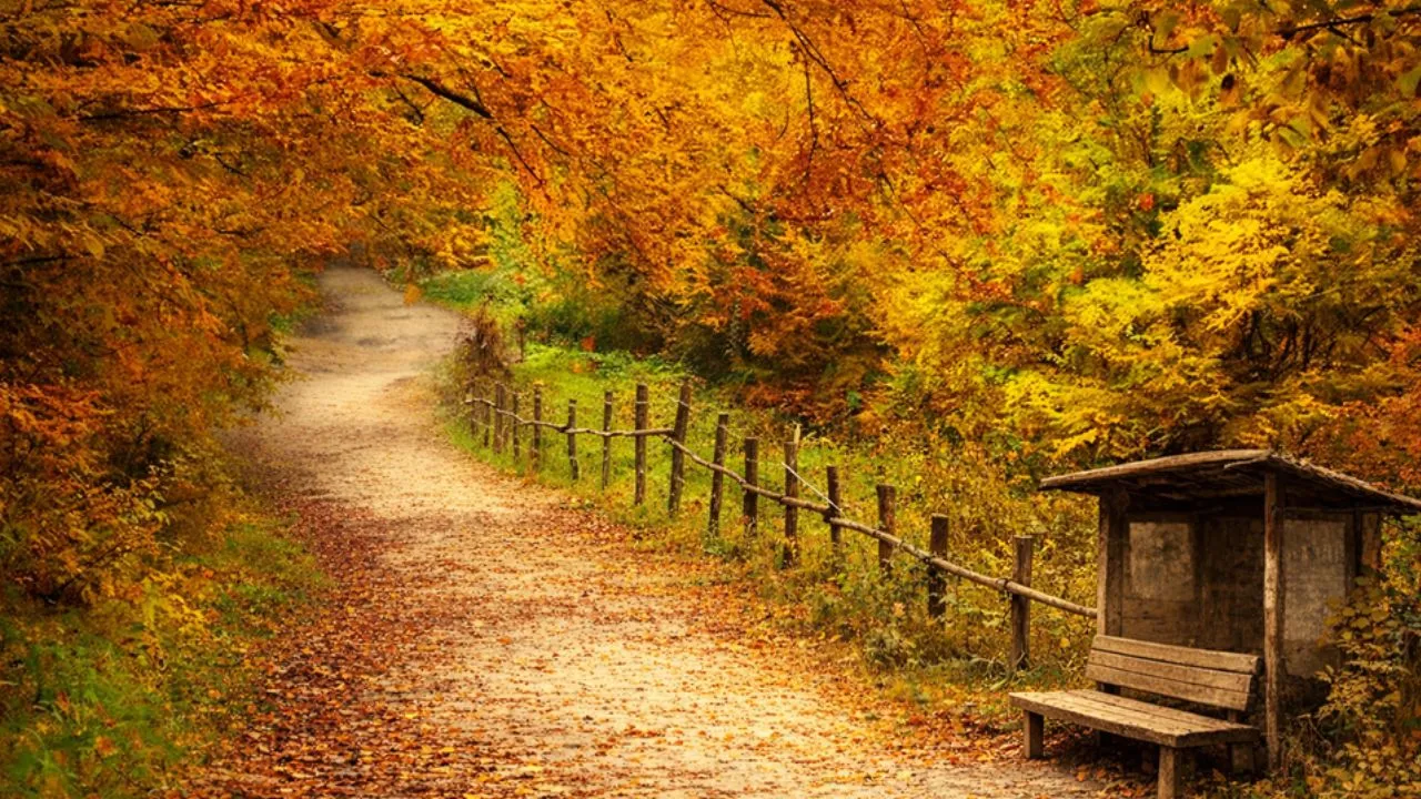 आग राग गाता मदमाता आया फागुन