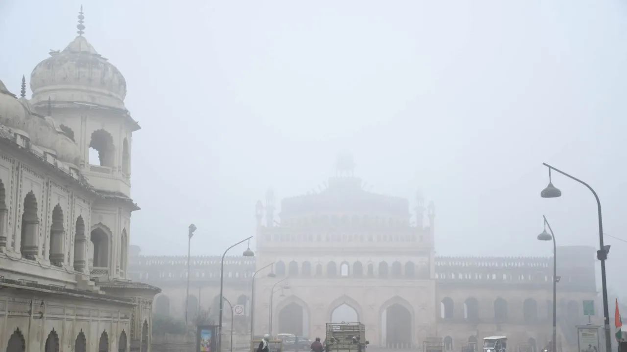 Untitled design (12)