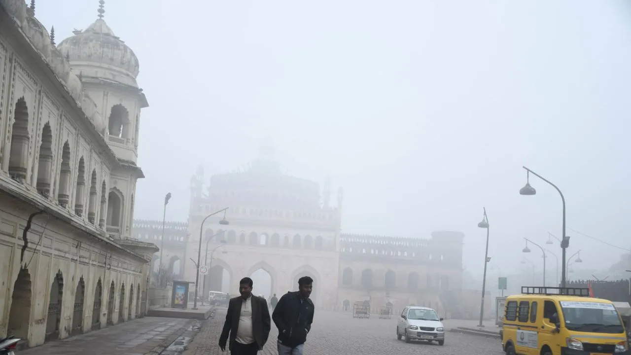 Untitled design (13)