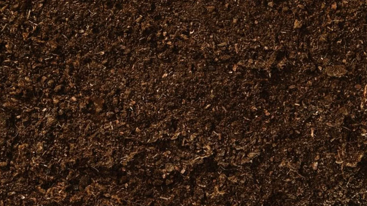 वैज्ञानिक फैक्ट:  जीवन से भरपूर है मिट्टी