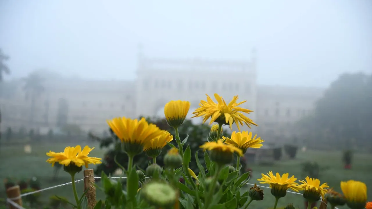 Untitled design (14)