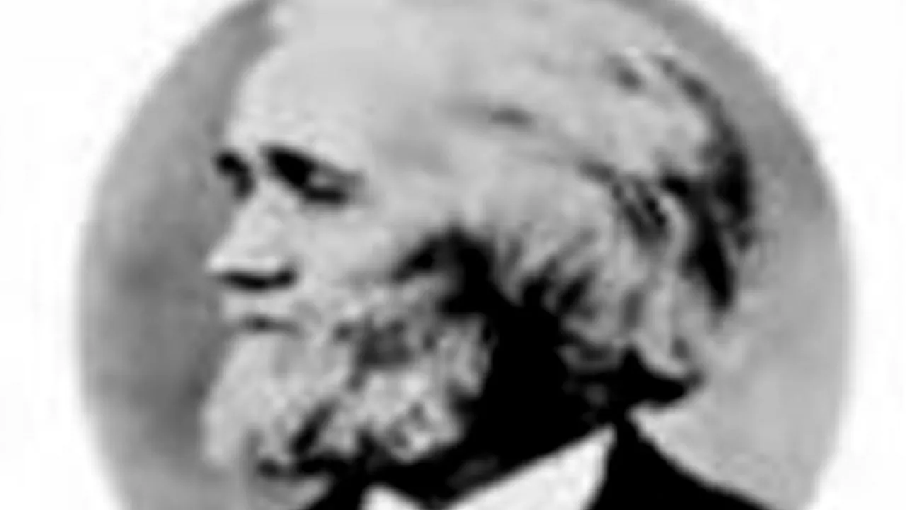 Untitled design (15)