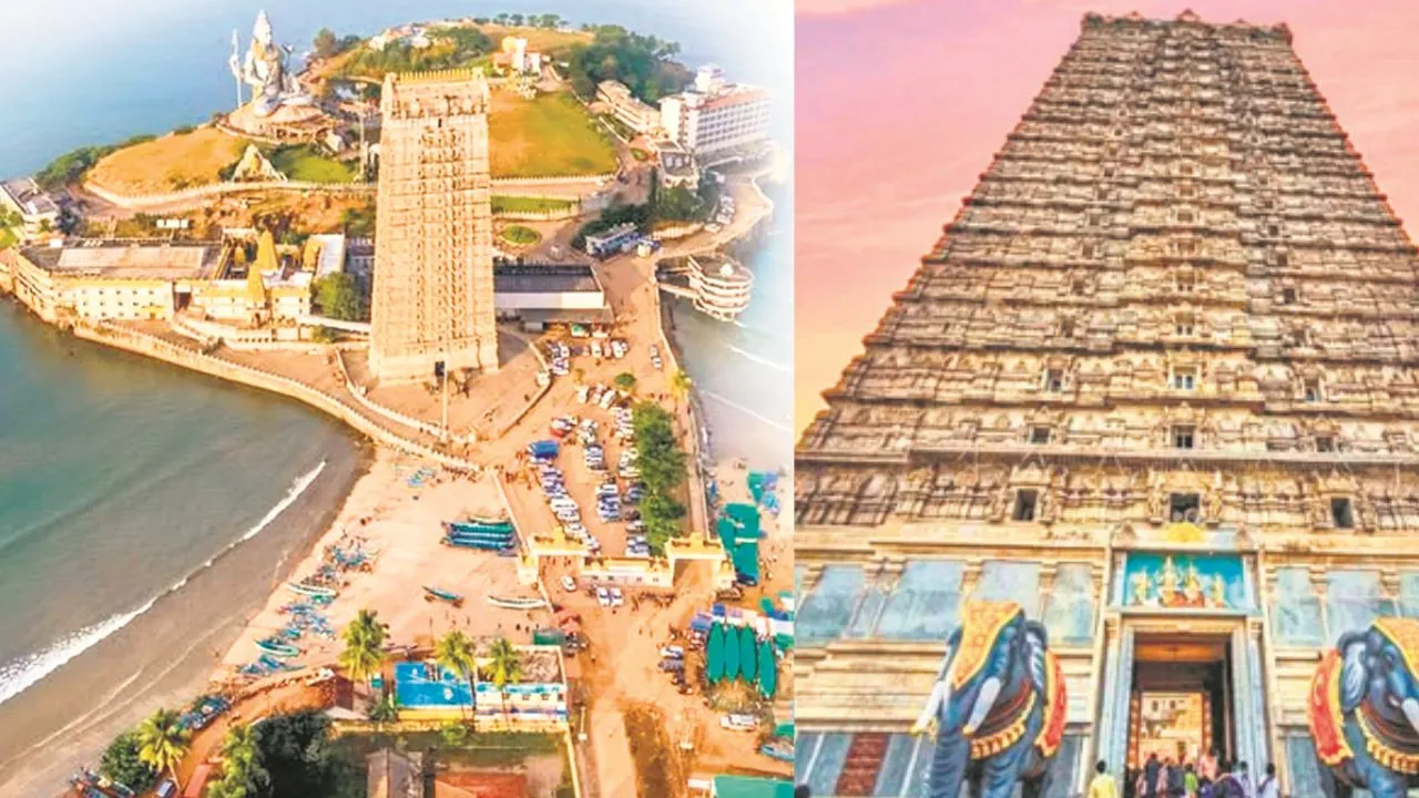 Untitled design (15)