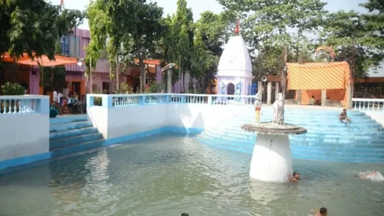 Untitled design (16)