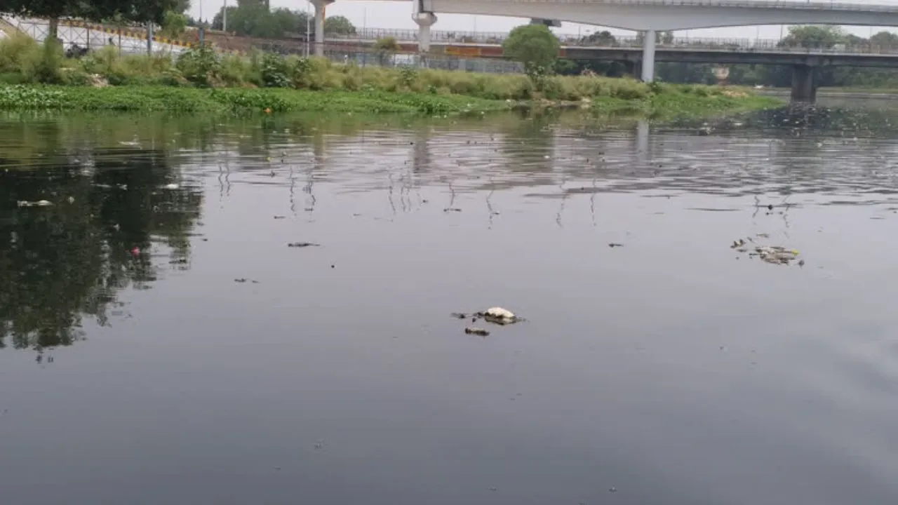  गोमती नदी स्वच्छता पर विशेष कार्यक्रम, शामिल होंगे मुख्यमंत्री योगी