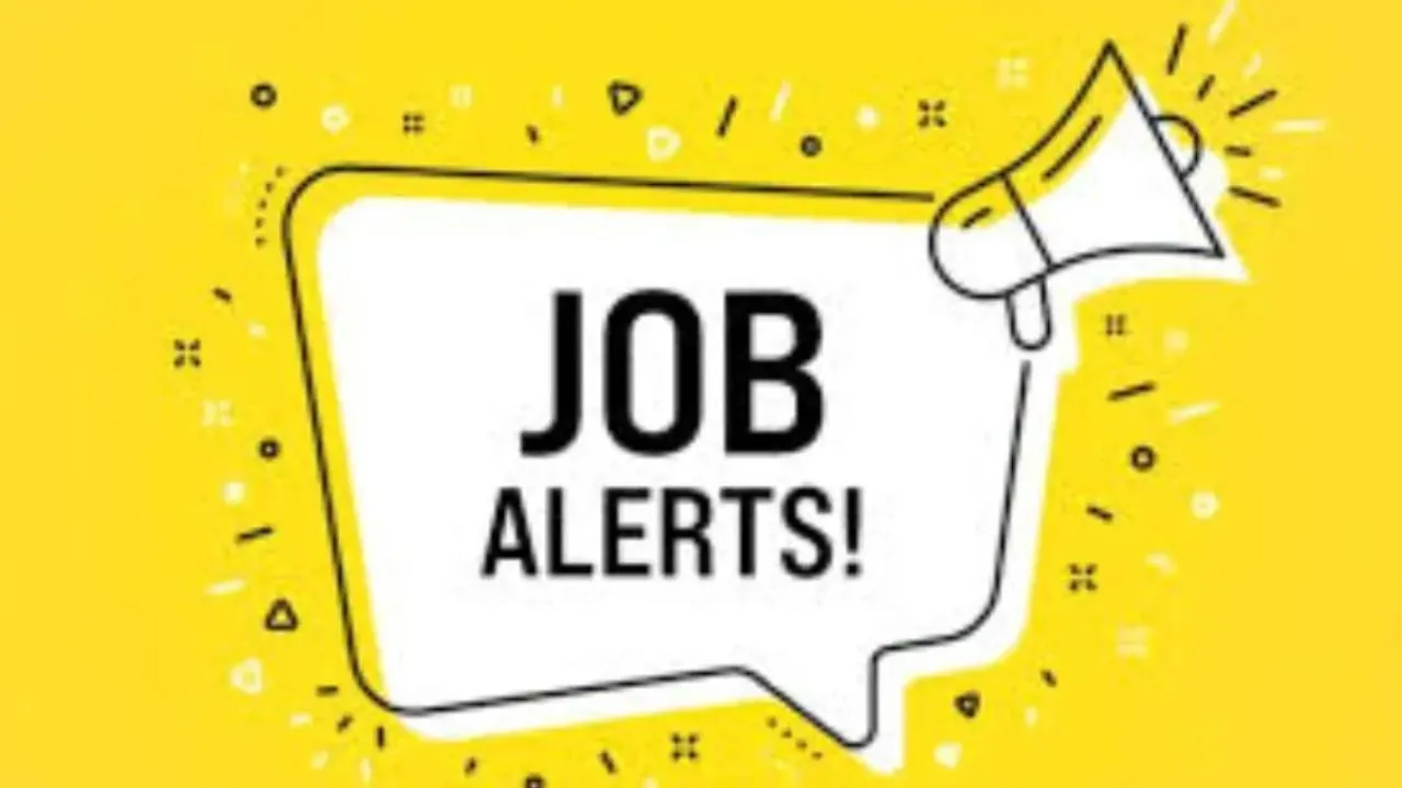 जॉब अलर्ट 