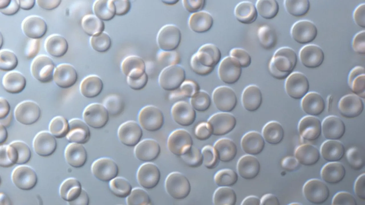 वैज्ञानिक फैक्ट:  प्राकृतिक इंजीनियरिंग का अद्भुत चमत्कार