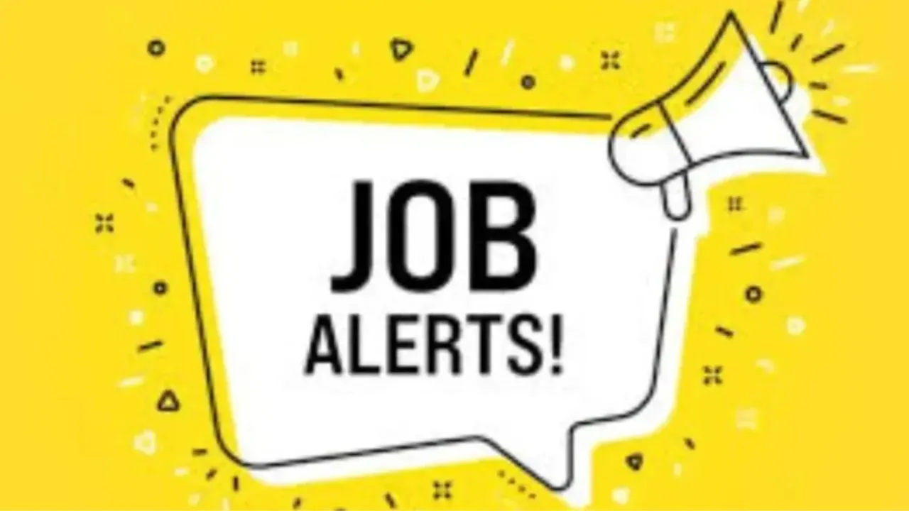 जॉब अलर्ट 