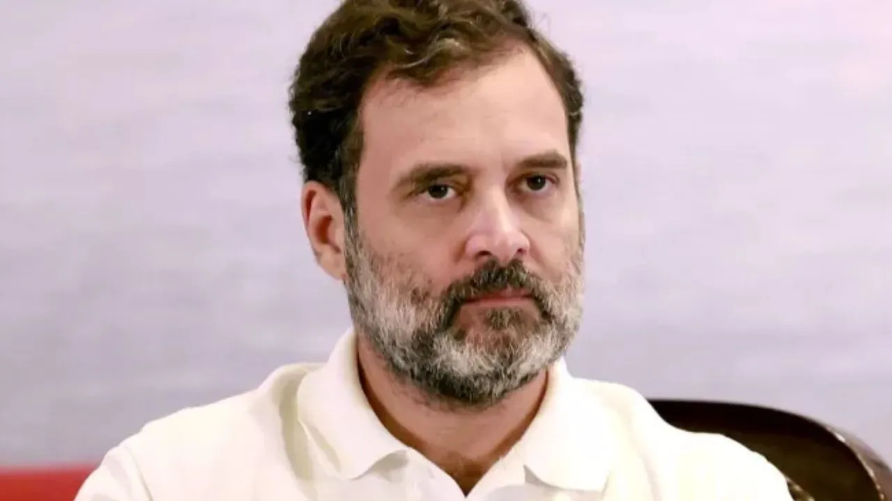 एआई समिट विवाद गरमाया,  रोबोटिक डॉग पर आया राहुल गाँधी का रिएक्शन, जानिए क्या कहा  