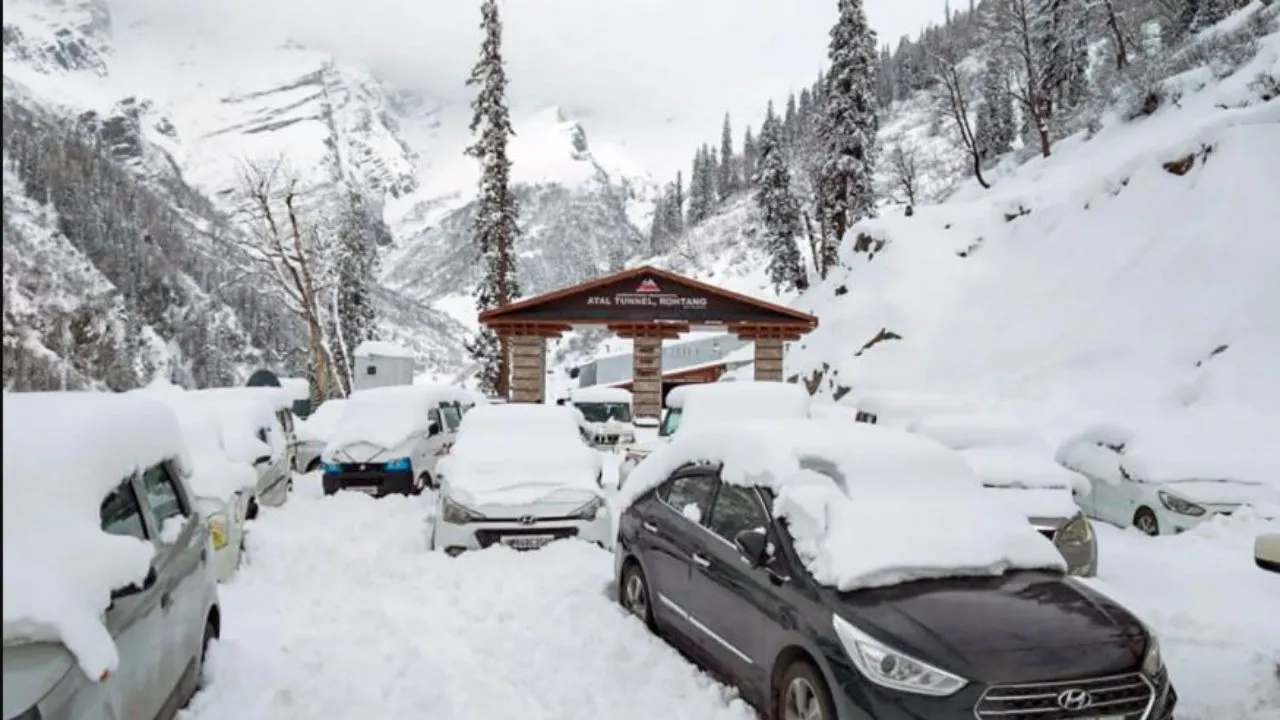  फरवरी ने तोड़े रिकॉर्ड...पहाड़ों पर बर्फ़बारी से दिल्ली में कोहरा,प्रयागराज में ठंड; MP के भिंड में जनजीवन प्रभावित
