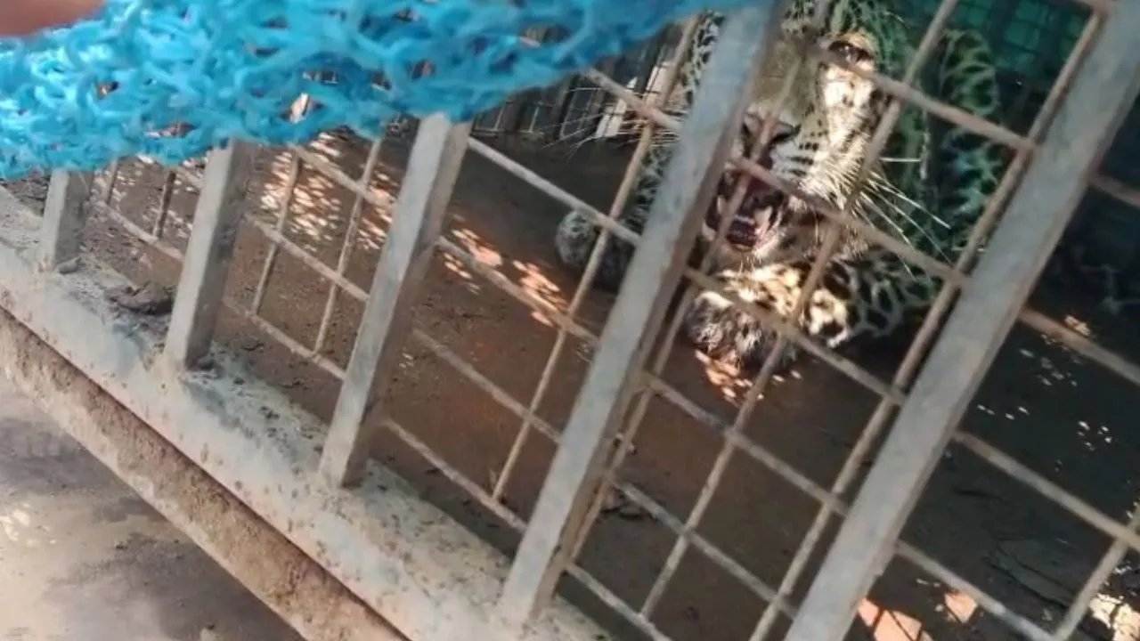 Untitled design (26)