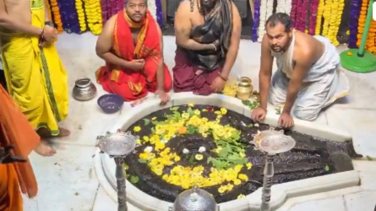 Untitled design (26)