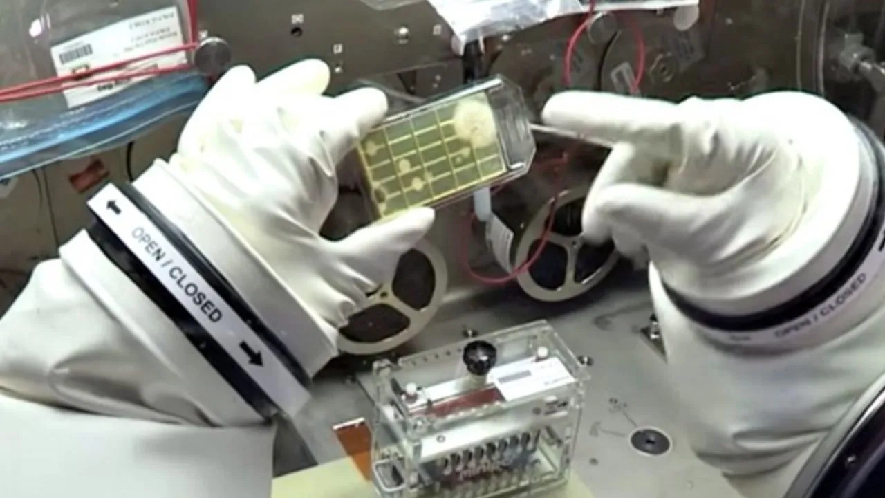 Untitled design (30)