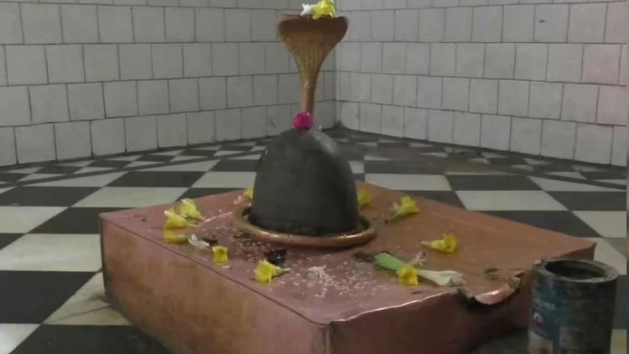 पातालेश्वर : पांडवों के वनवास और द्रोणाचार्य की तपोस्थली से जुड़ा आस्था का केंद्र है मंदिर, धार्मिक स्थलों के कारण भी विशेष पहचान