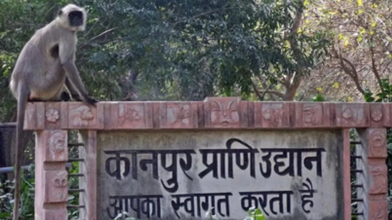  4 फरवरी को 52 साल का हो जाएगा कानपुर प्राणी उद्यान, 52 बच्चों को मिलेगी फ्री एंट्री 