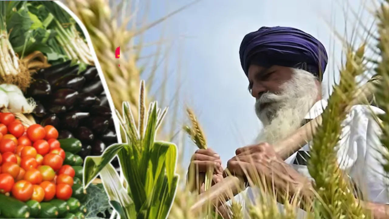 ट्रेड डील से कृषि, चावल, डेयरी उत्पाद सुरक्षित:  इन सेक्टर में खुले बाजार, जानें अमेरिका के साथ व्यापार से जुड़ी अहम बातें