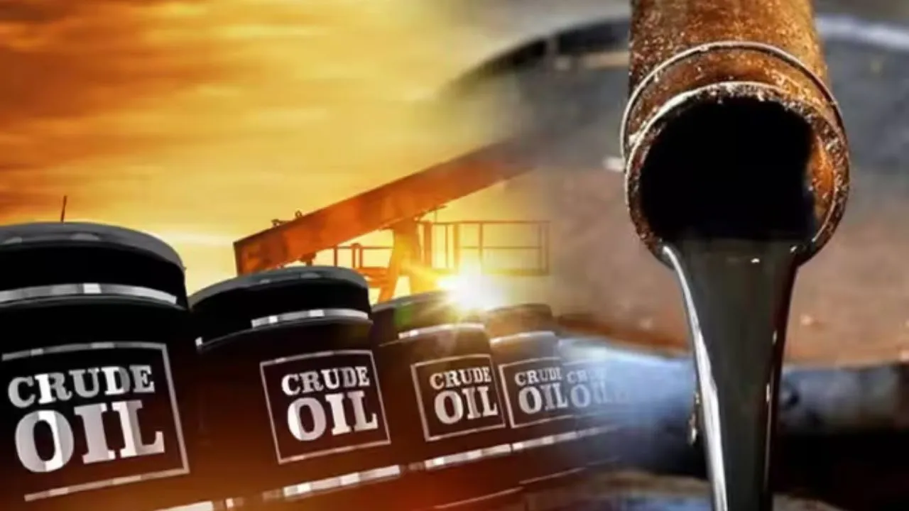 Untitled design (53)