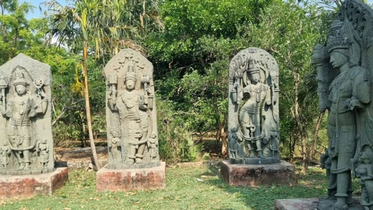 Untitled design (55)