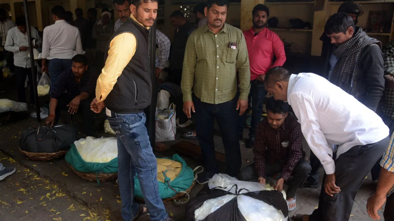 होली पर संभल कर खरीदें खोया, हो सकती है मिलावट; शहर की मंडियों में बढ़ी खपत, आसपास के जिलों से होने लगी आवक