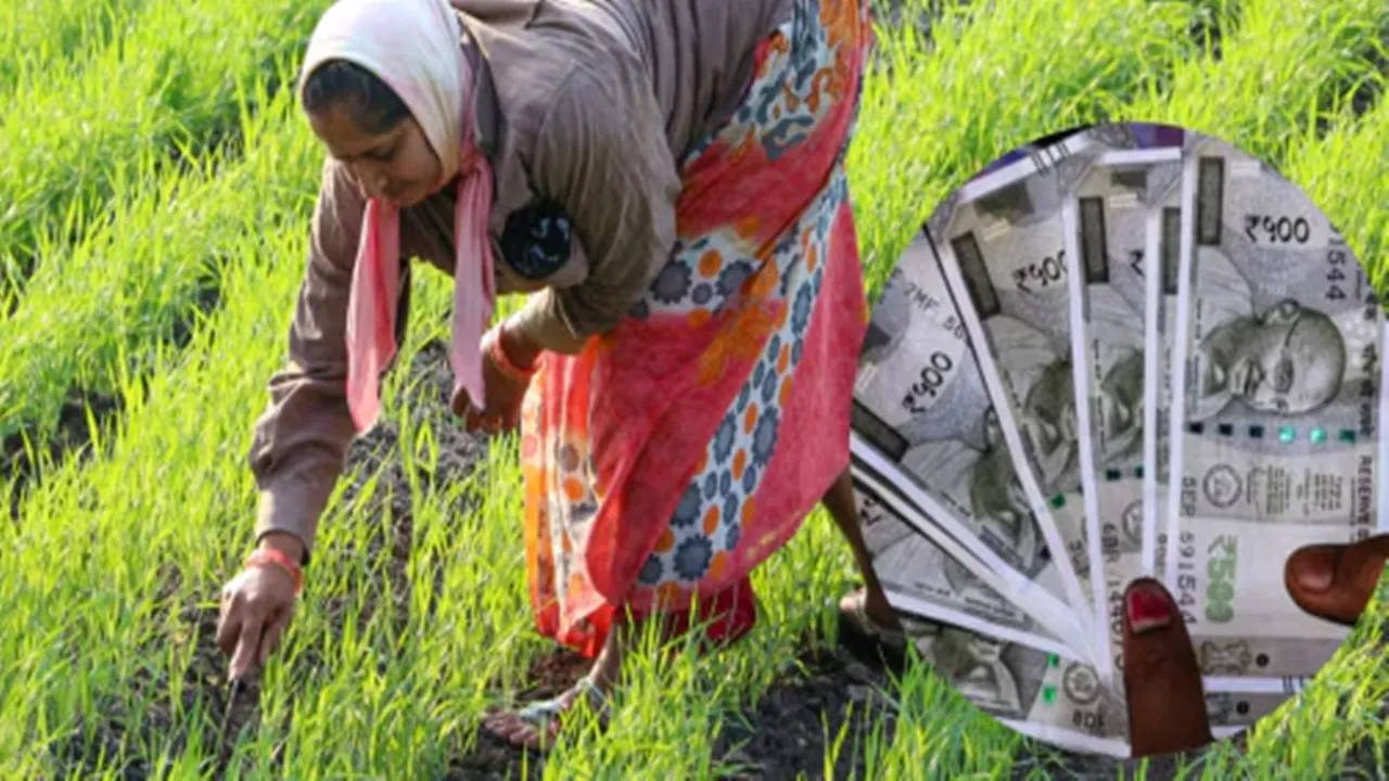 योगी सरकार का बड़ा फैसला : फसल बीमा योजना के लिए 71.44 करोड़ मंजूर, किसानों को मिलेगी राहत 