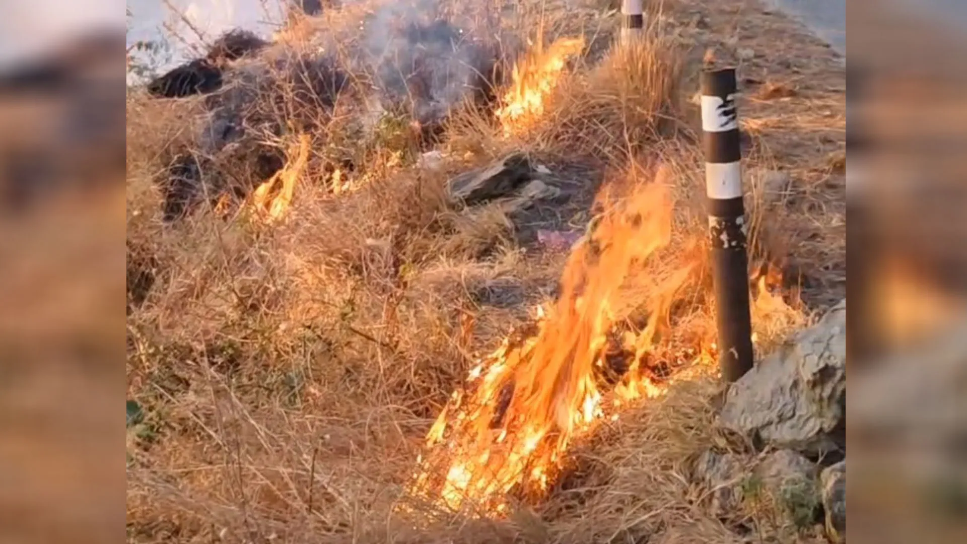 Uttrakhand: शैल बैंड और कालीमठ से सटे जंगल में धधकी आग, फायर सर्विस ने किया काबू 