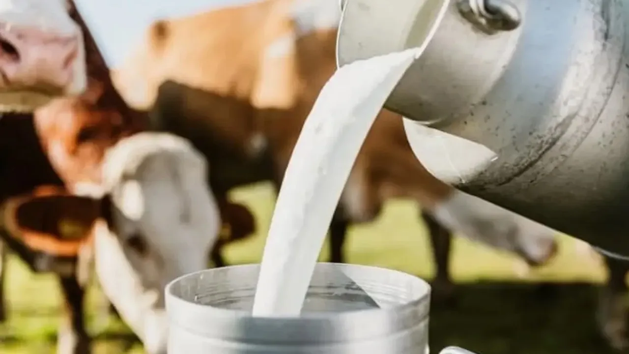 UP की महिलाओं ने रचा इतिहास : 5000 करोड़ का किया दूध कारोबार, 6 हजार गांवों में फैला नेटवर्क