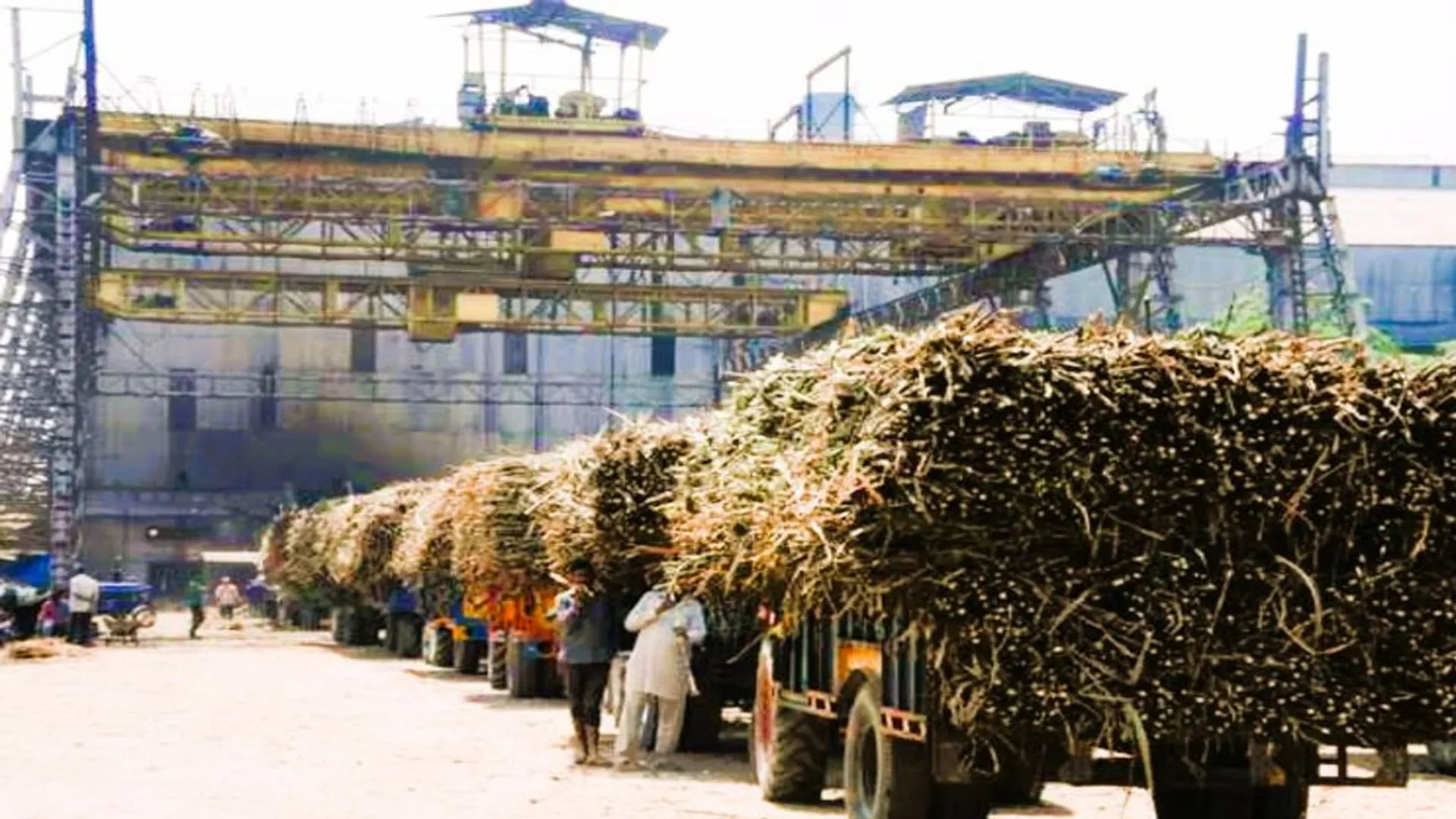 Bareilly: चीनी मिलों पर 671 करोड़ बकाया... किसानों की फीकी रहेगी होली