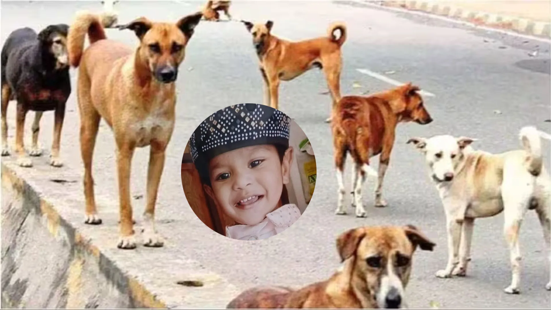 Bareilly : खूंखार कुत्तों ने चार साल के मासूम को नोच कर मार डाला