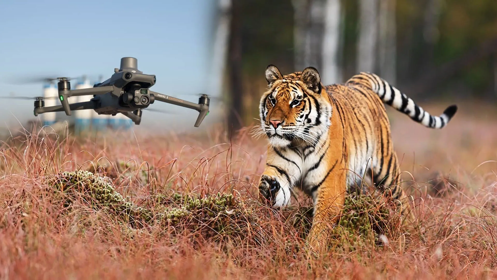 Uttrakhand: घने अंधेरे में भी ‘थर्मल ड्रोन’ की नजर से बच न सकेगा बाघ-तेंदुआ