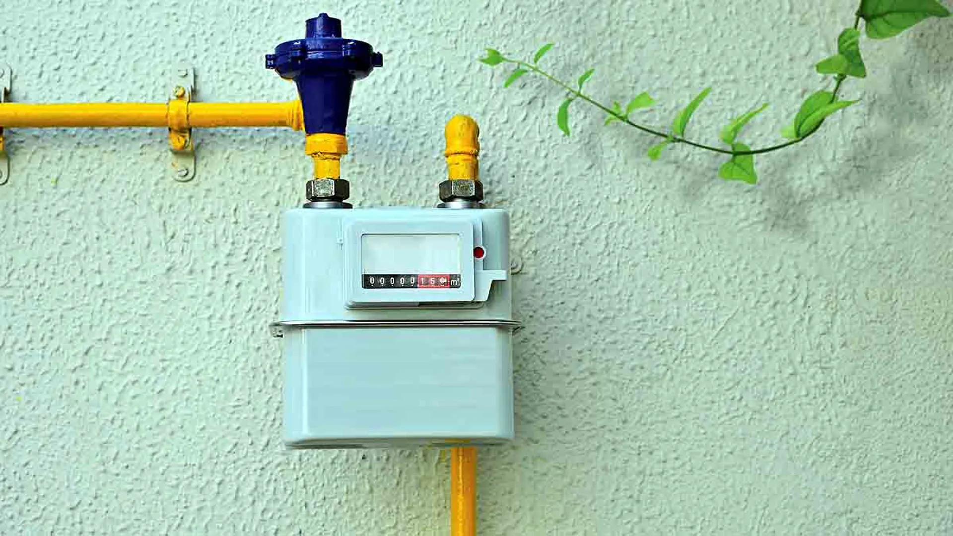 Uttrakhand: पांच साल बाद भी शहर में अधिकांश घरों में नहीं पहुंची पीएनजी