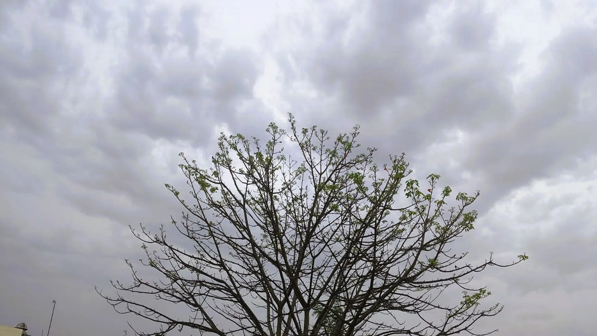 Moradabad: शाम को उमड़े काले बादल, बारिश की उम्मीद जगी, गर्मी से परेशान लोगों को राहत 