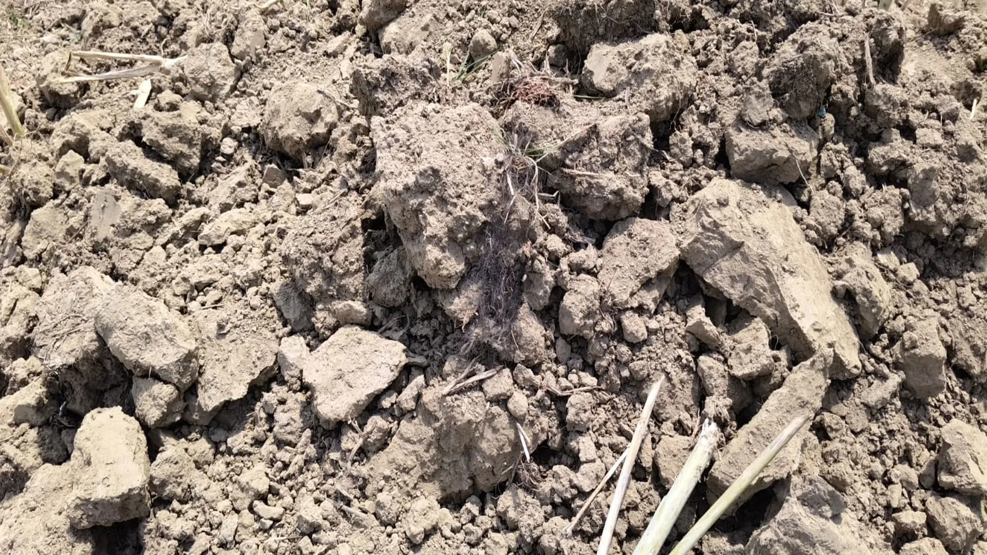 UP: सिर का कंकाल मिलने के बाद सूखे तालाब में बोरी में भरी मिलीं हड्डियां